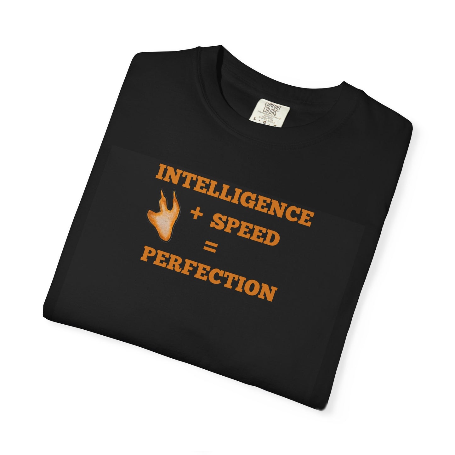 Intelligence + Speed = Perfection Unisex Garment-Dyed T-shirt