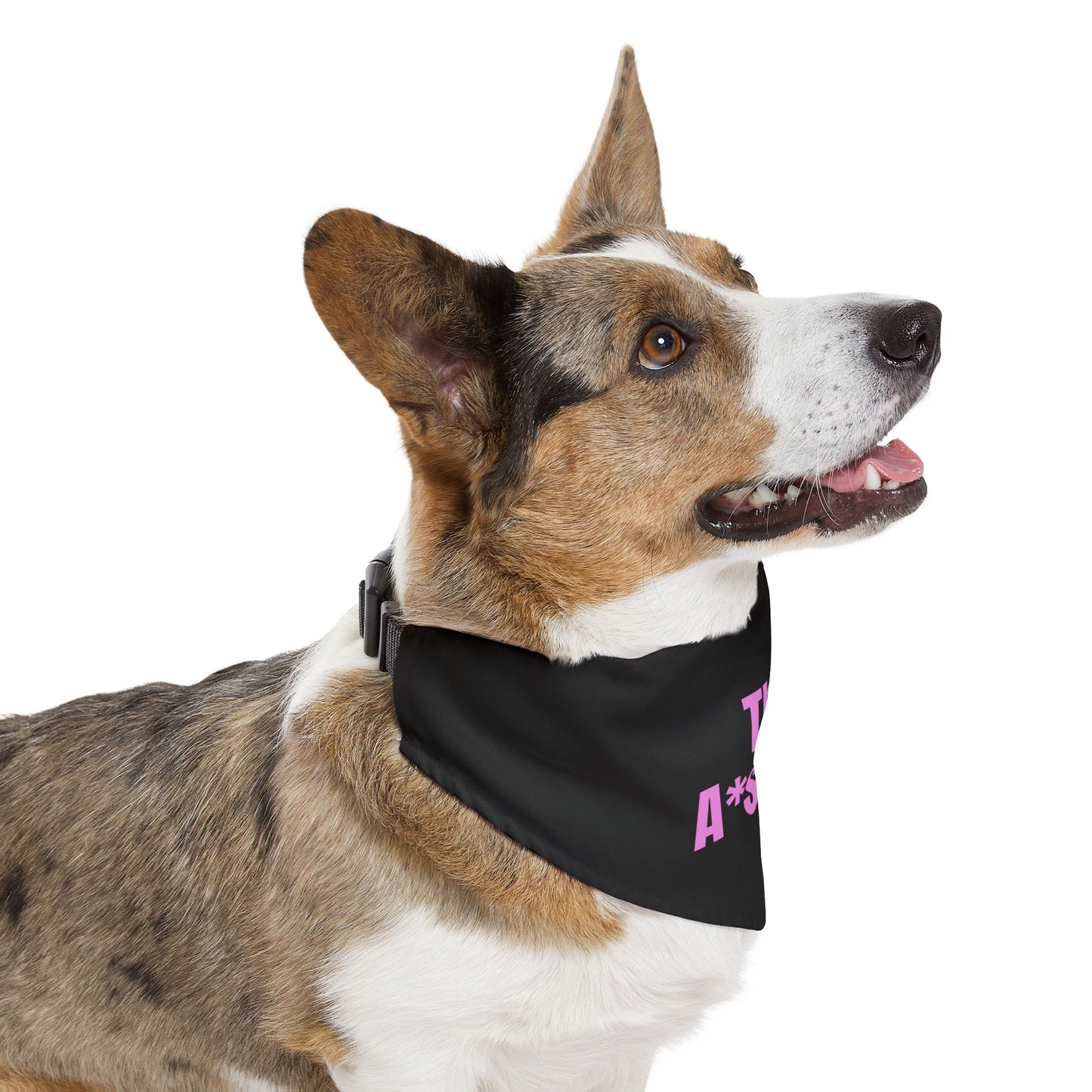 The A*shole Pet Bandana Collar - Funny Dog Bandana - Girl