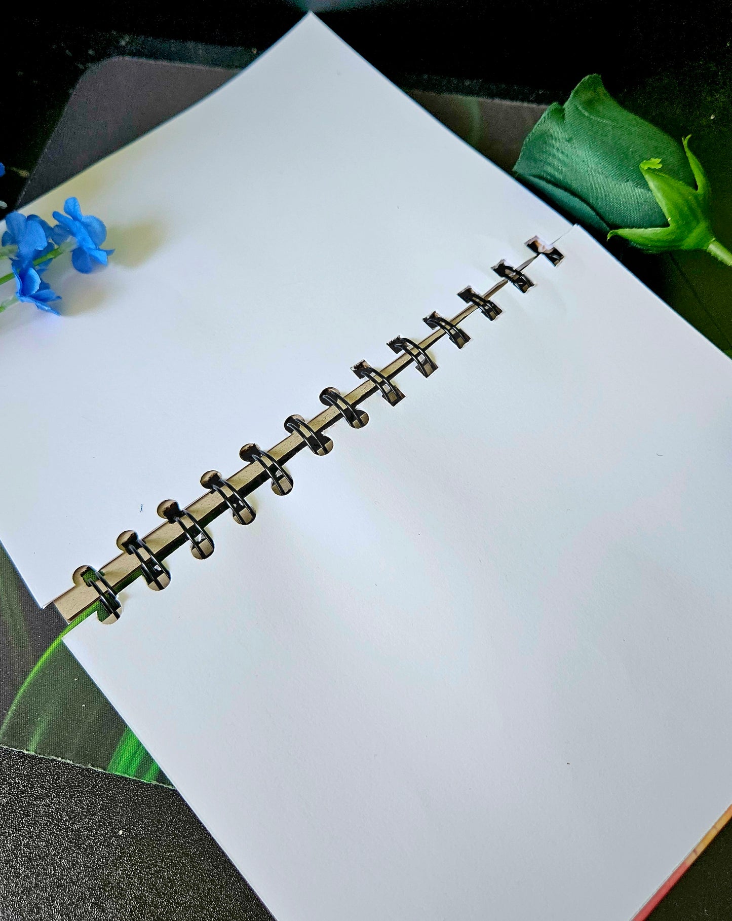 Super Cutesy Clover the Hedgehog Mini Blank Sketchbook