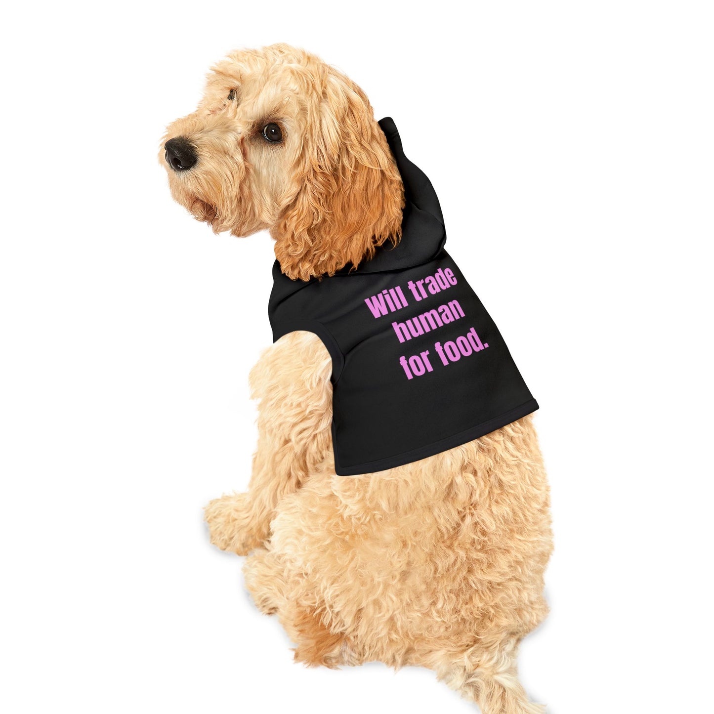 Will Trade Human for Food Pet Hoodie - Funny Dog or Cat Hoodie - Girl