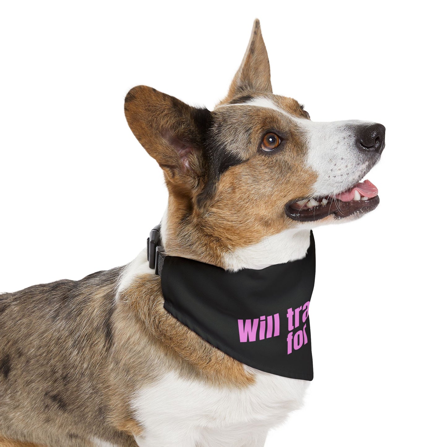 Will Trade Human for Food Pet Bandana Collar - Funny Dog Bandana- Girl