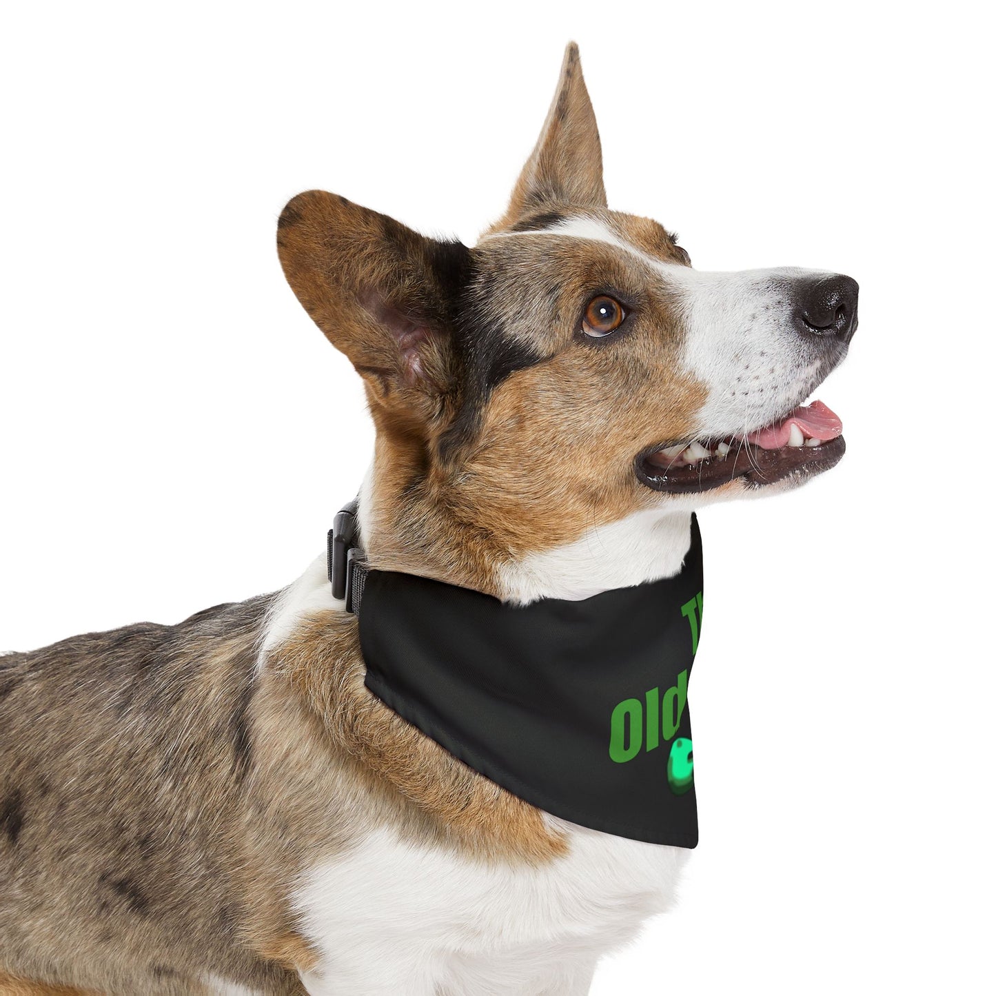 The Old Timer Pet Bandana Collar- Funny Dog Bandana - Boy
