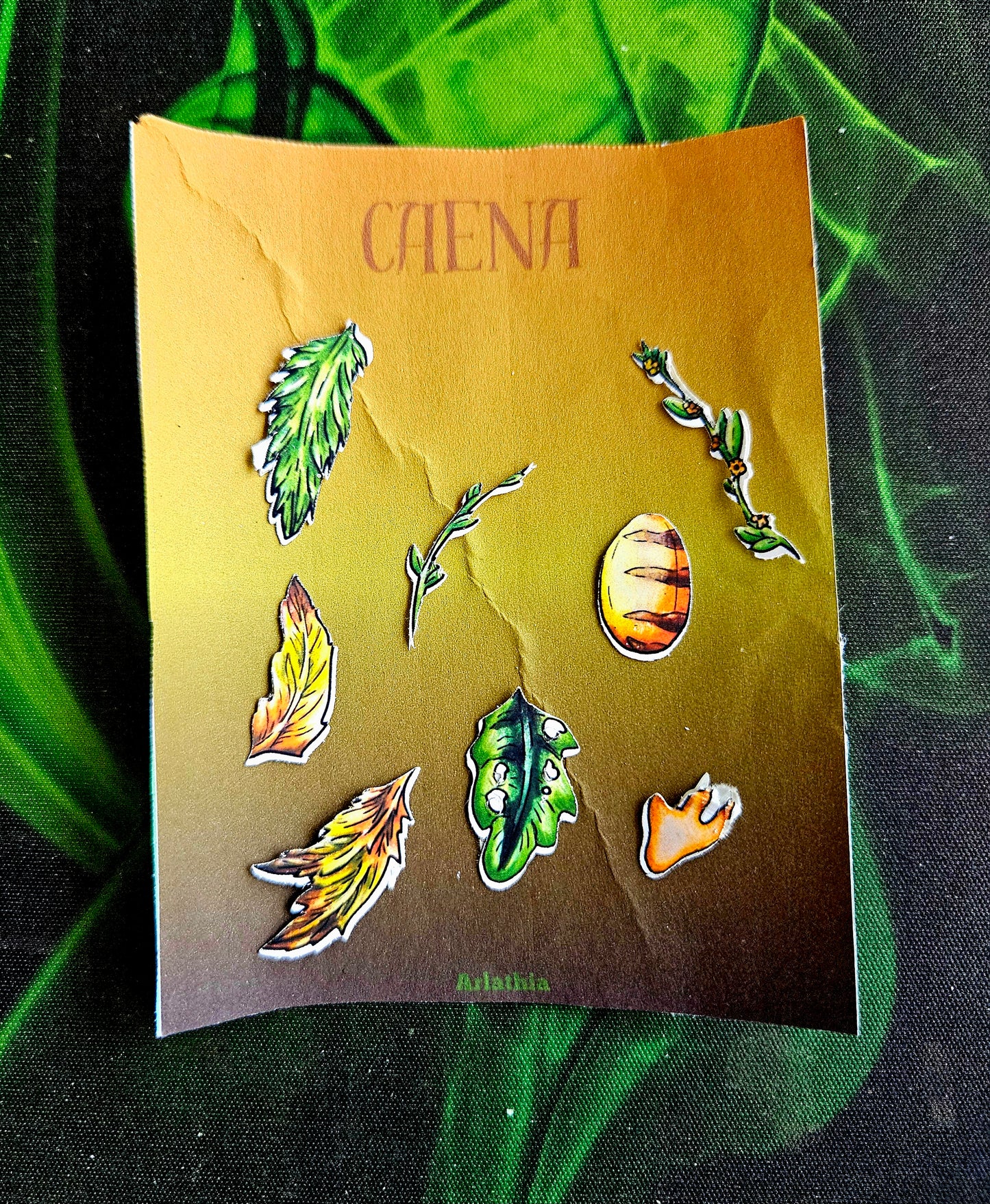 Multi pack Minis Caena Elements Stickers