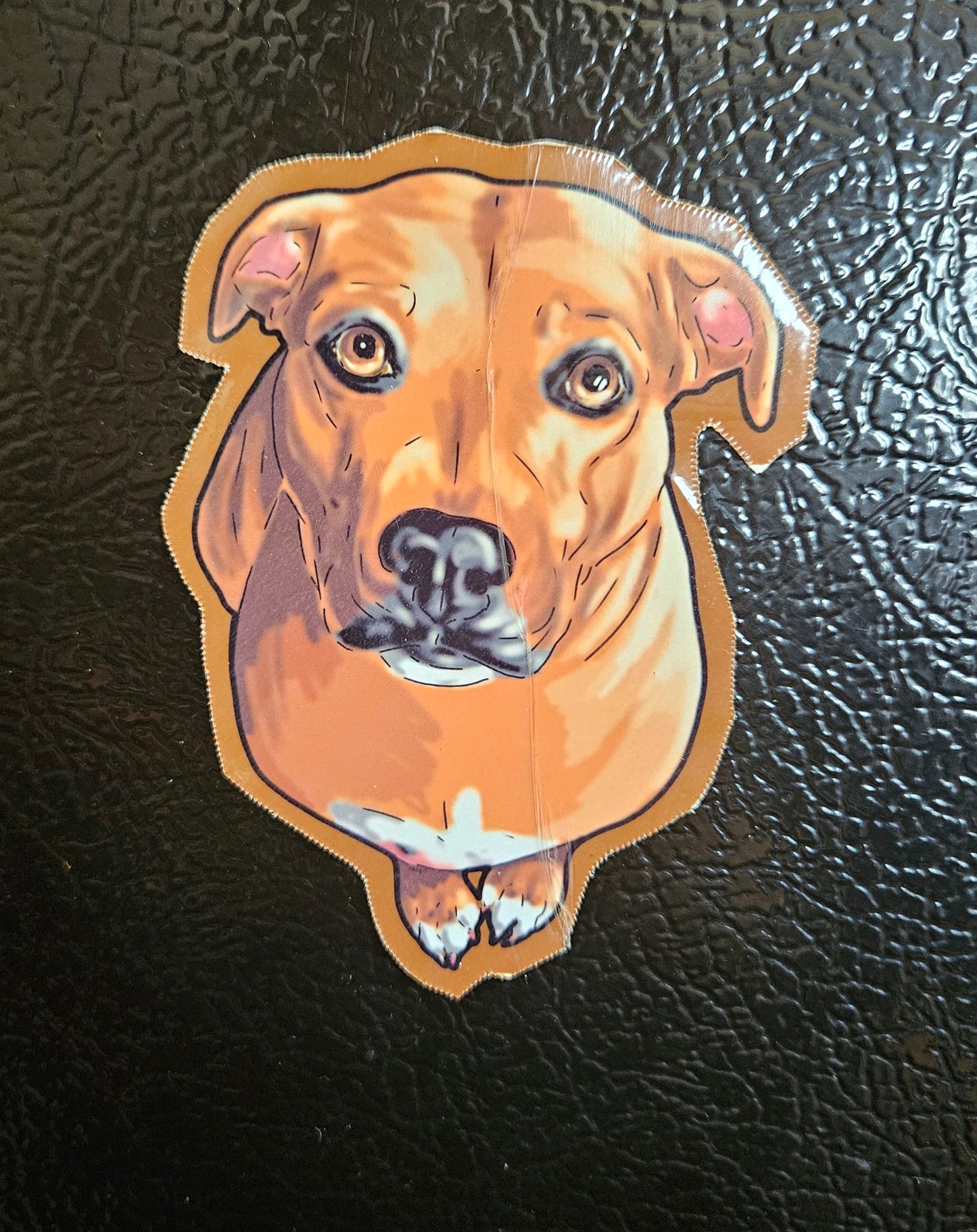 Cute Dog Magnet - Dog Lover Gift- Magnet - Hound Dog Mix