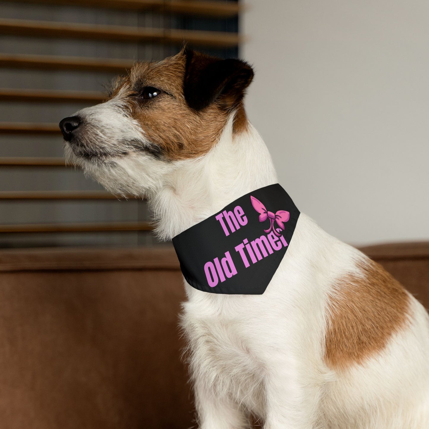 The Old Timer Pet Collar- Funny Dog Bandana - Girl