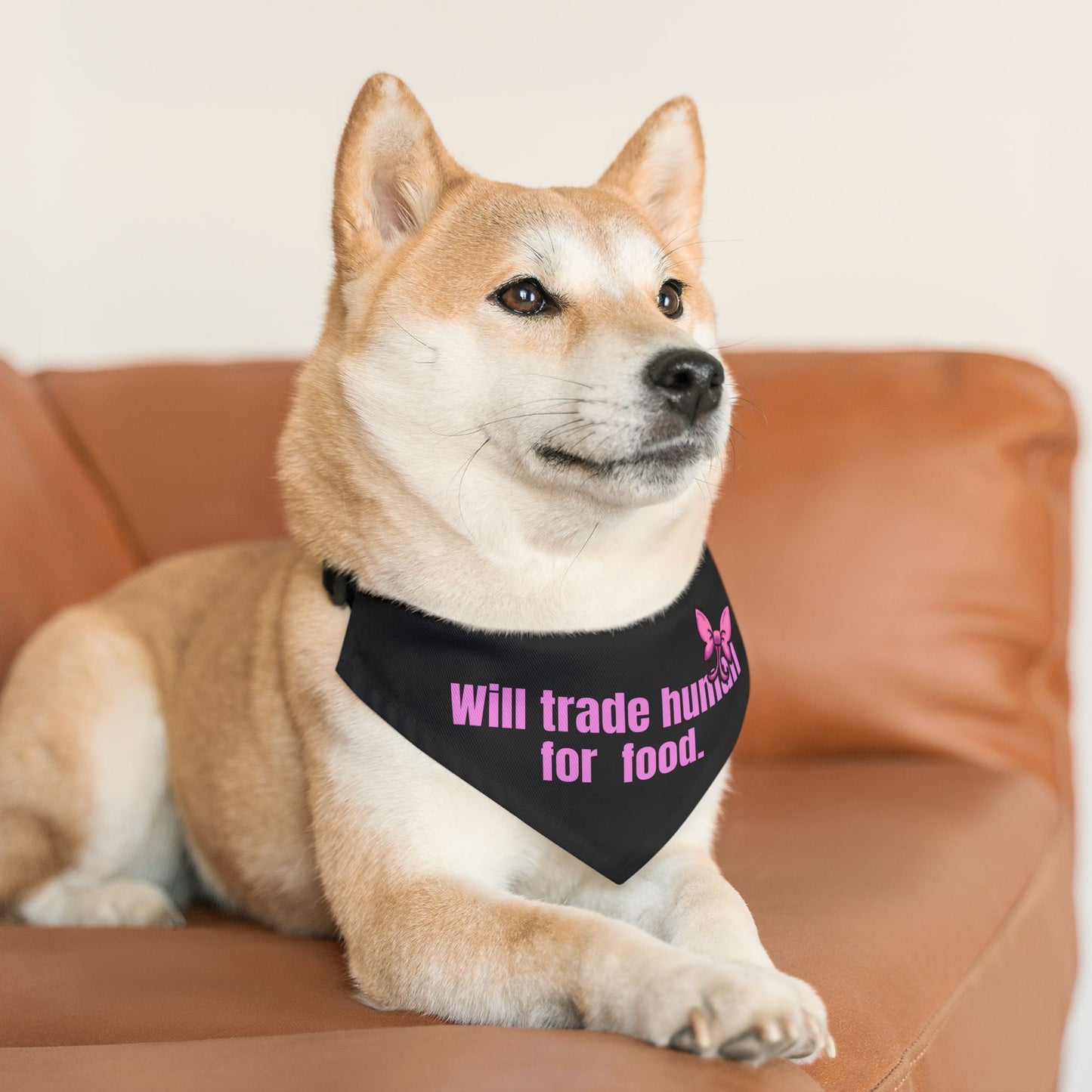 Will Trade Human for Food Pet Bandana Collar - Funny Dog Bandana- Girl