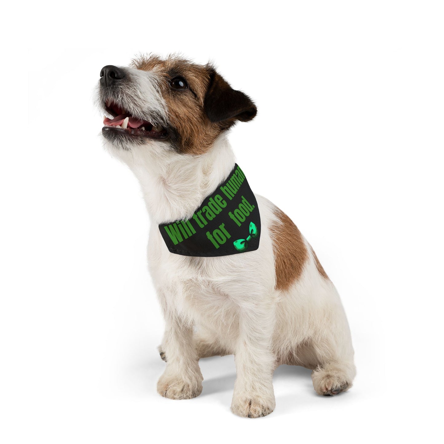 Will Trade Human for Food Pet Bandana Collar - Funny Dog Bandana - Boy