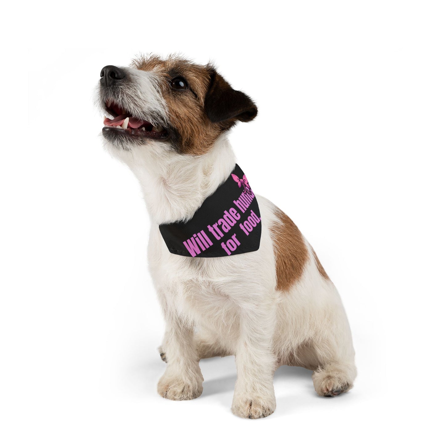 Will Trade Human for Food Pet Bandana Collar - Funny Dog Bandana- Girl