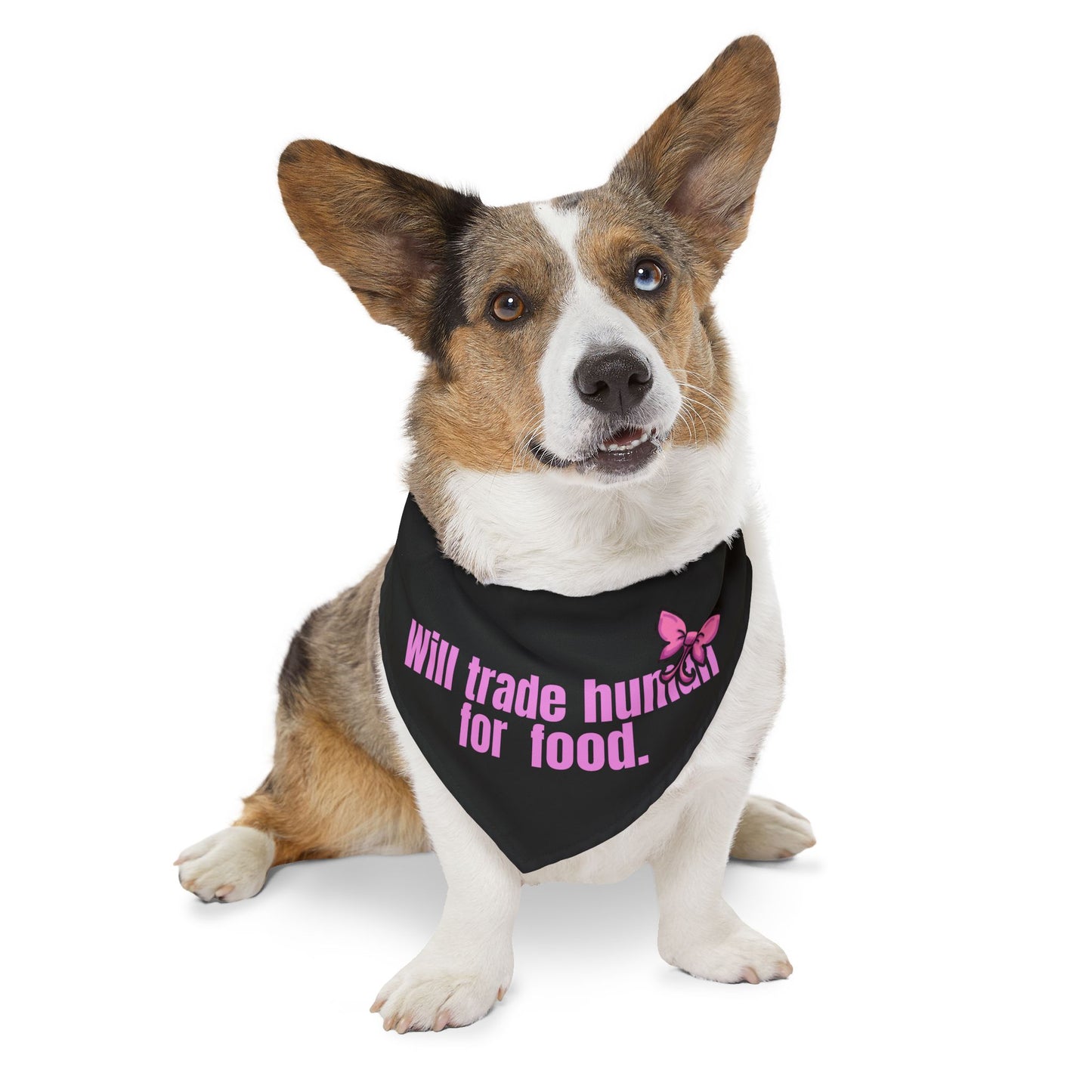 Will Trade Human for Food Pet Bandana Collar - Funny Dog Bandana- Girl
