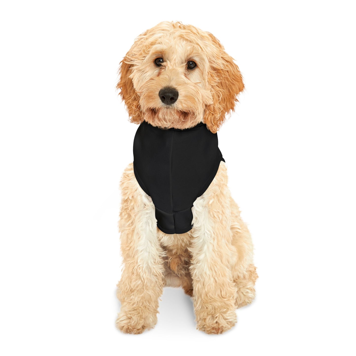 The Good One Pet Hoodie - Funny Dog or Cat Hoodie - Boy