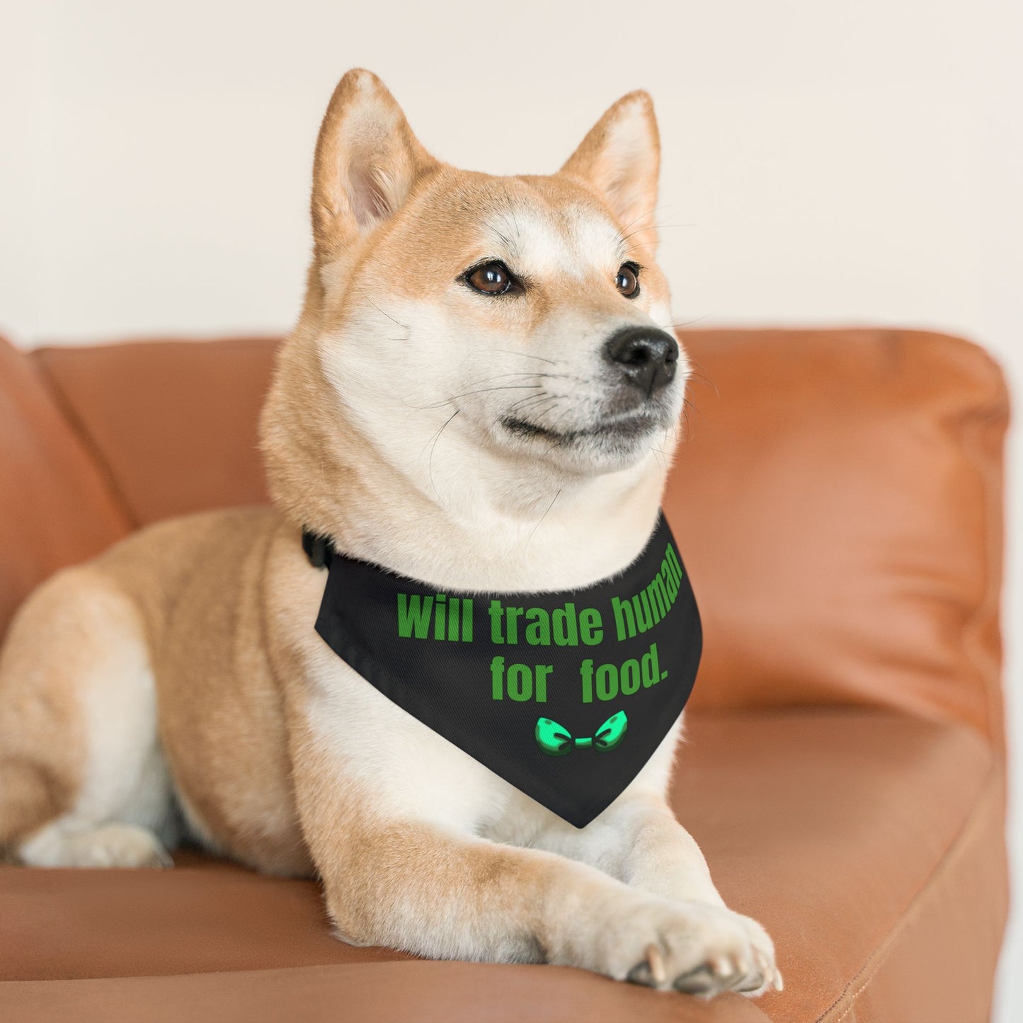 Will Trade Human for Food Pet Bandana Collar - Funny Dog Bandana - Boy