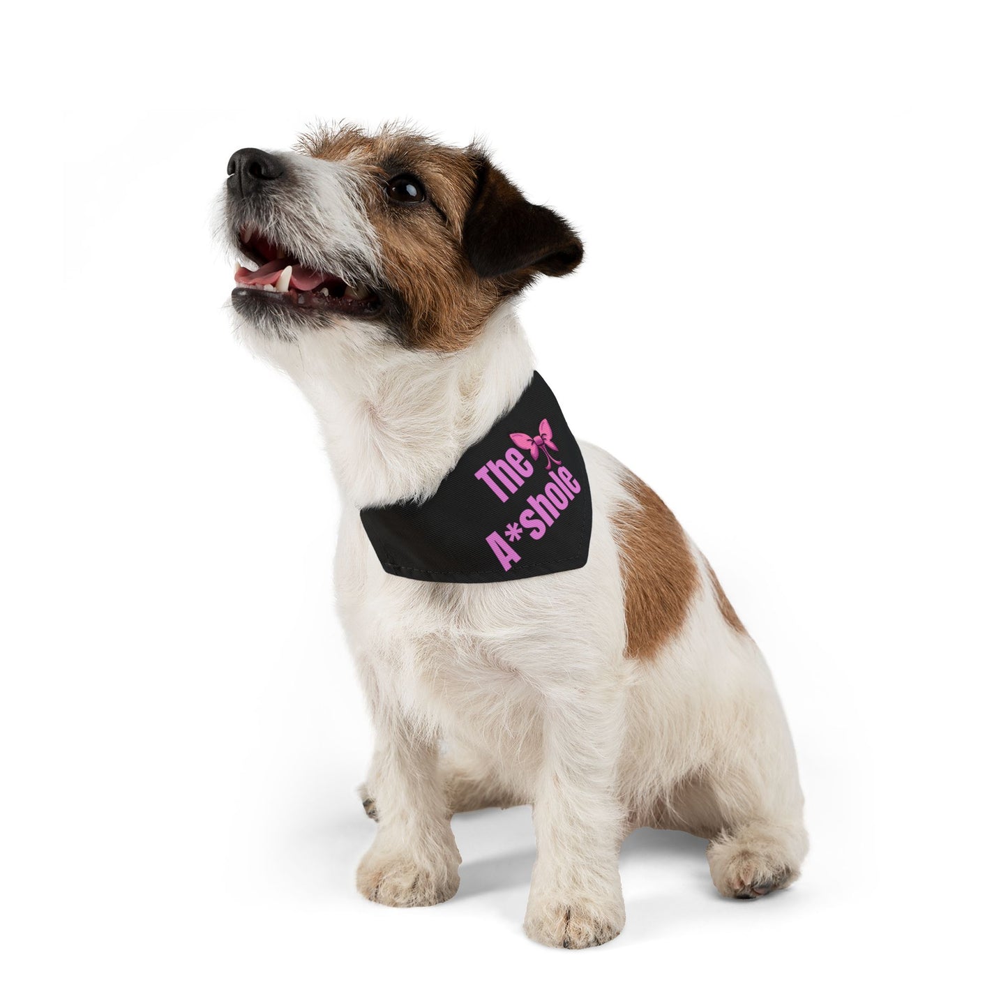 The A*shole Pet Bandana Collar - Funny Dog Bandana - Girl