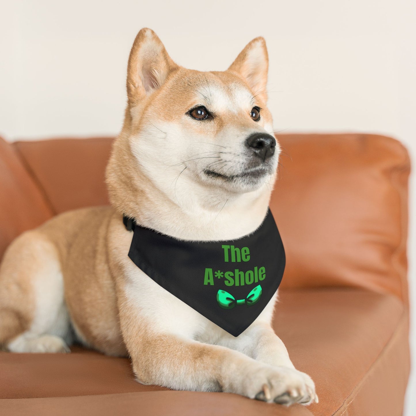 The A*shole Pet Collar - Funny Dog or Cat Bandana - Boy