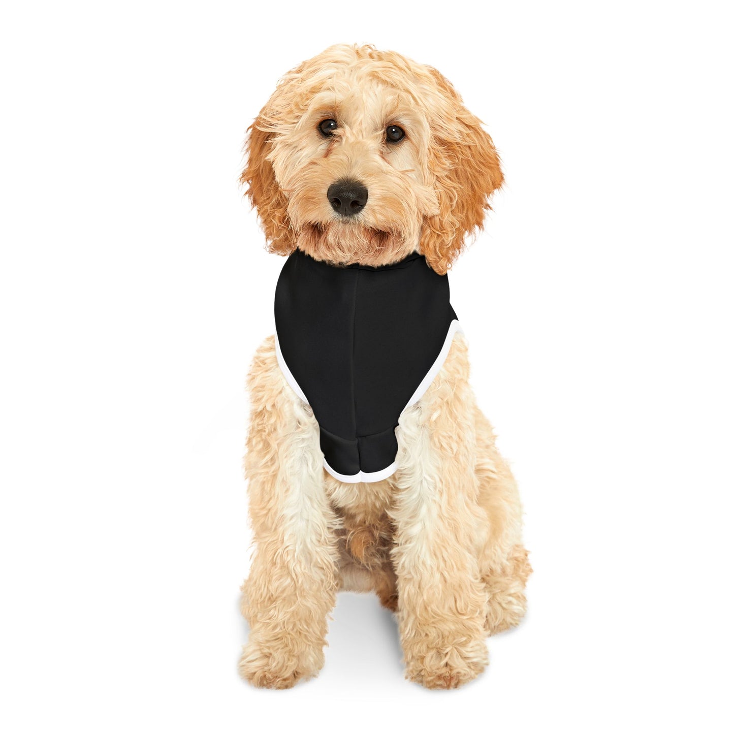 The A*shole Pet Hoodie - Funny Dog or Cat Hoodie -Girl