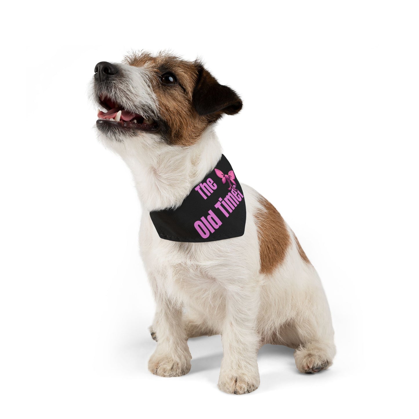 The Old Timer Pet Collar- Funny Dog Bandana - Girl