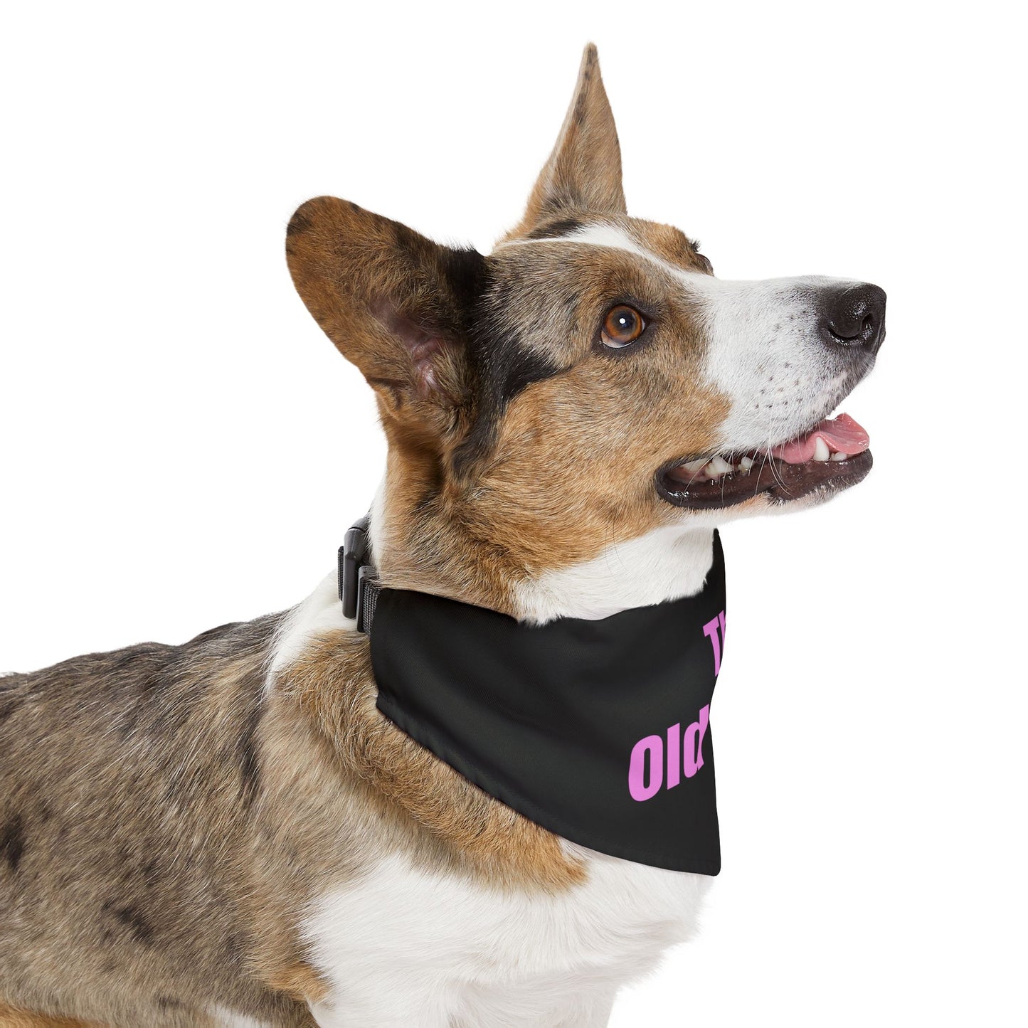 The Old Timer Pet Collar- Funny Dog Bandana - Girl