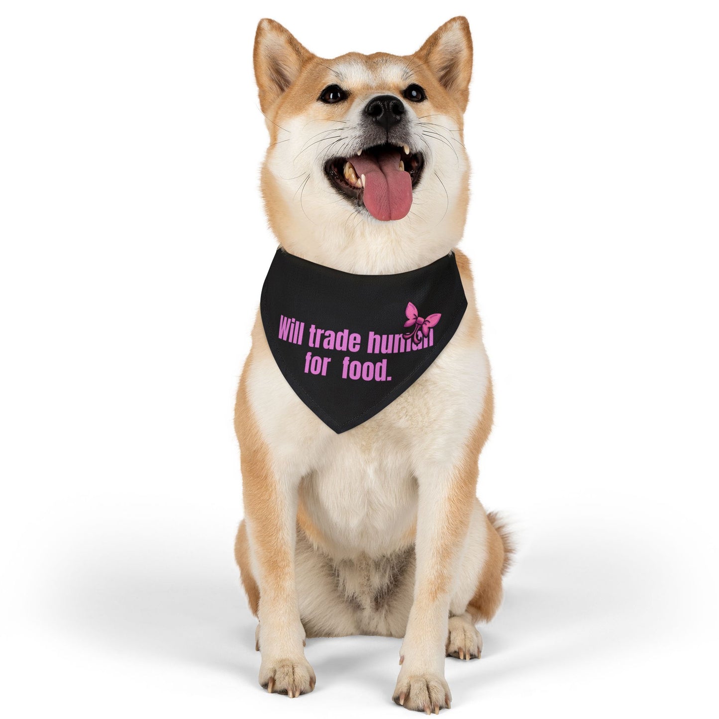 Will Trade Human for Food Pet Bandana Collar - Funny Dog Bandana- Girl