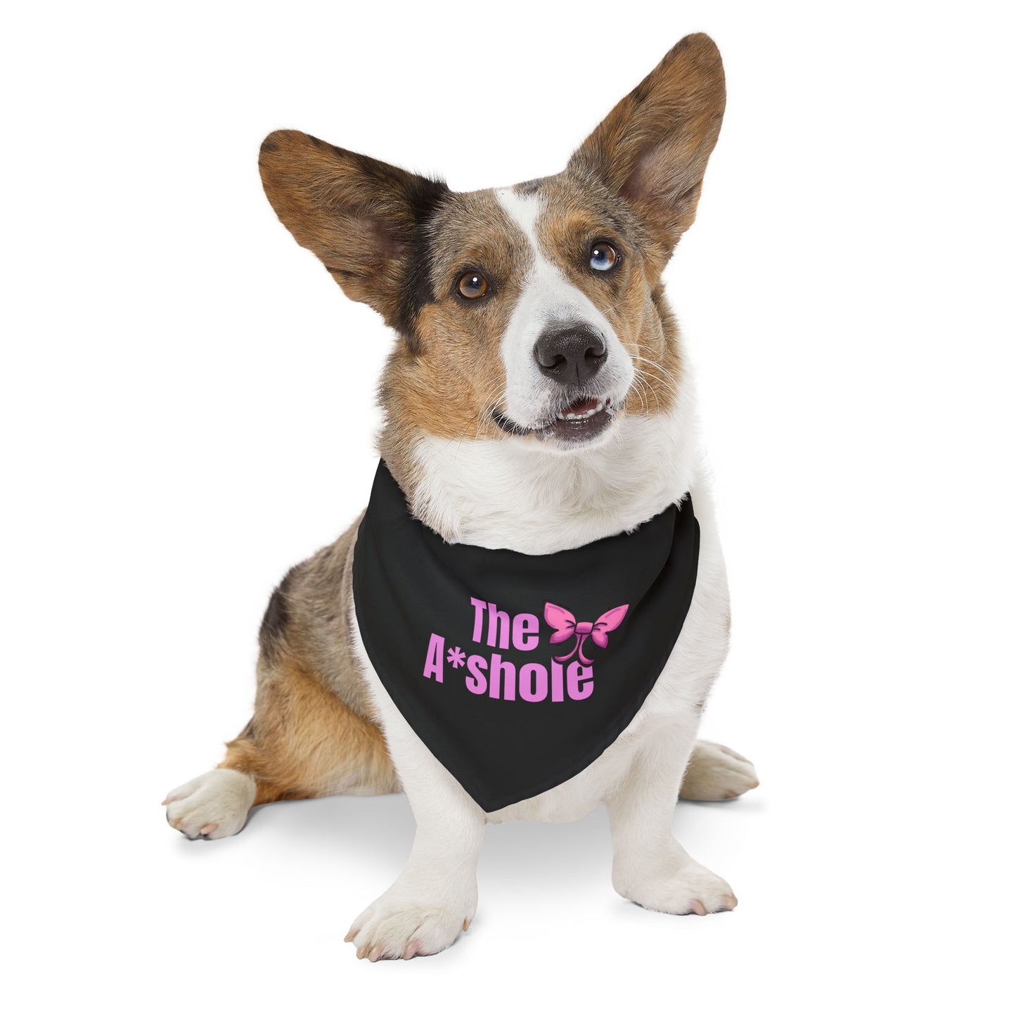 The A*shole Pet Bandana Collar - Funny Dog Bandana - Girl