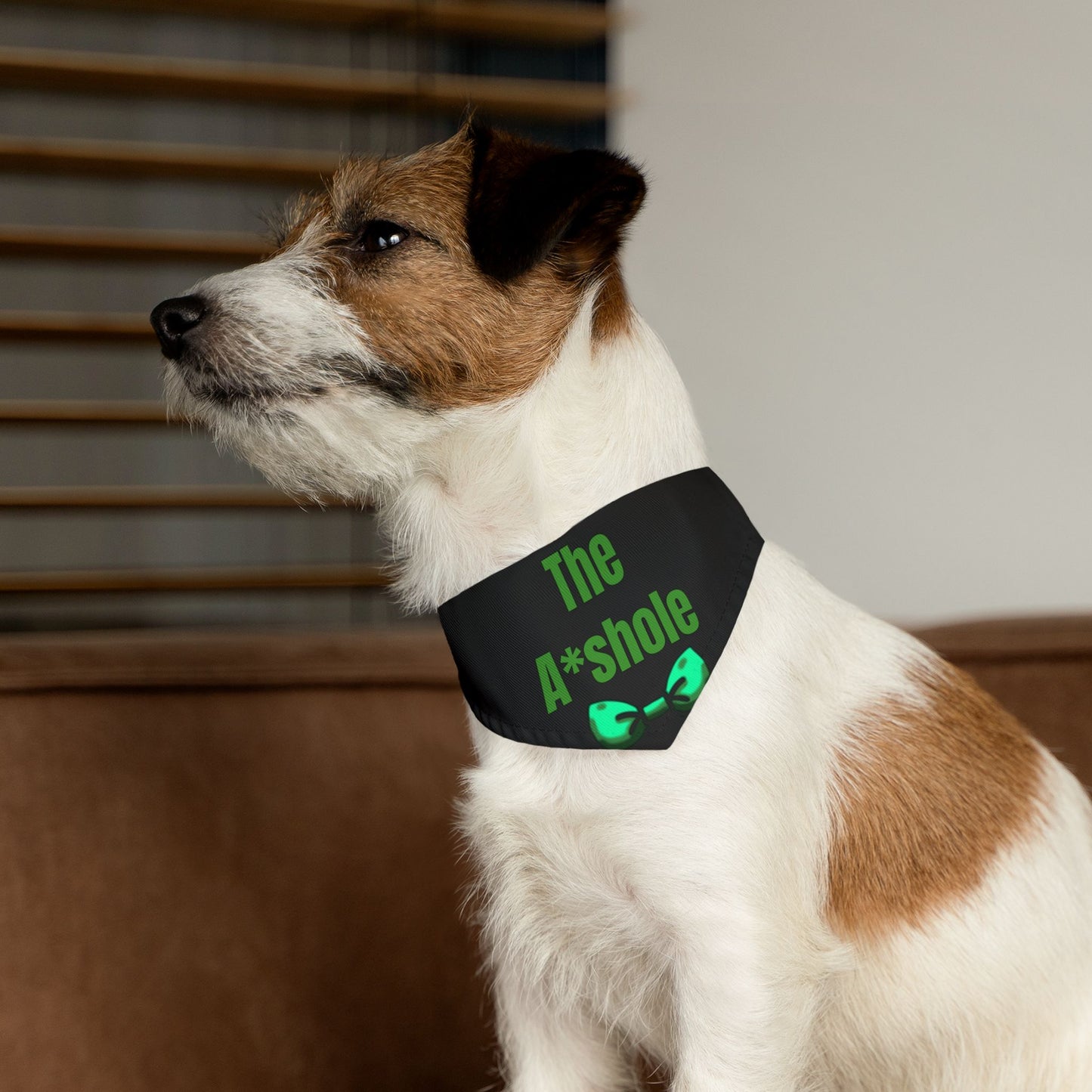 The A*shole Pet Collar - Funny Dog or Cat Bandana - Boy