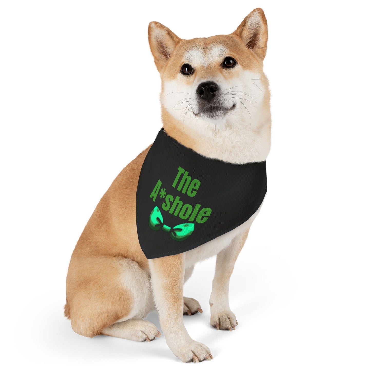 The A*shole Pet Collar - Funny Dog or Cat Bandana - Boy