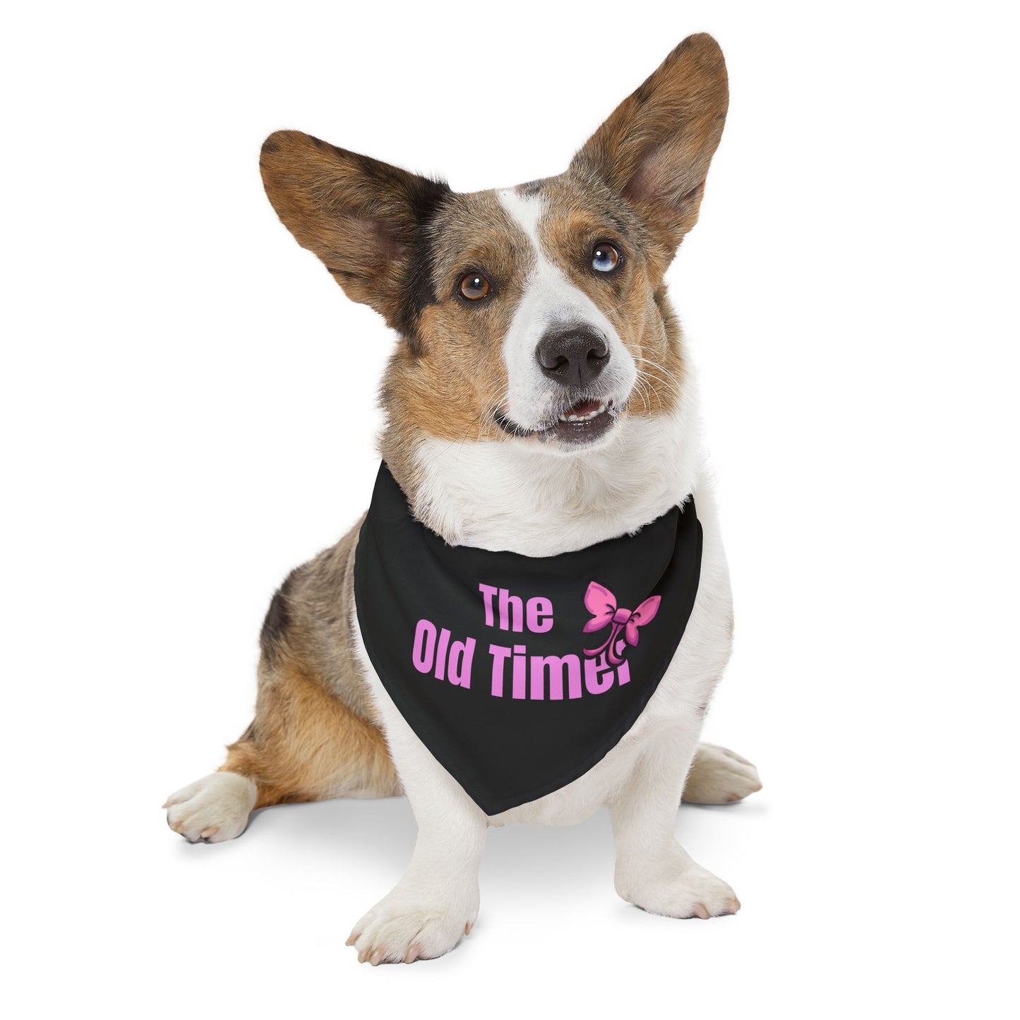 The Old Timer Pet Collar- Funny Dog Bandana - Girl