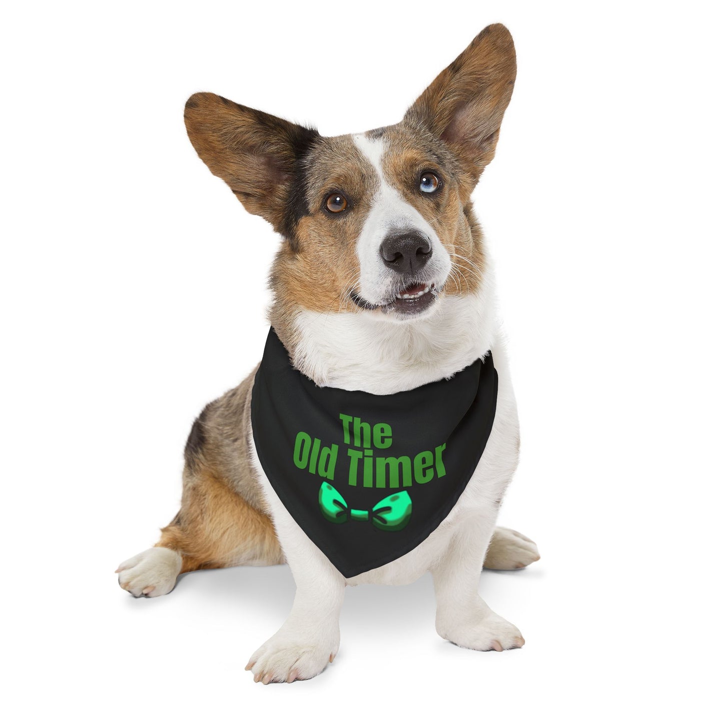 The Old Timer Pet Bandana Collar- Funny Dog Bandana - Boy