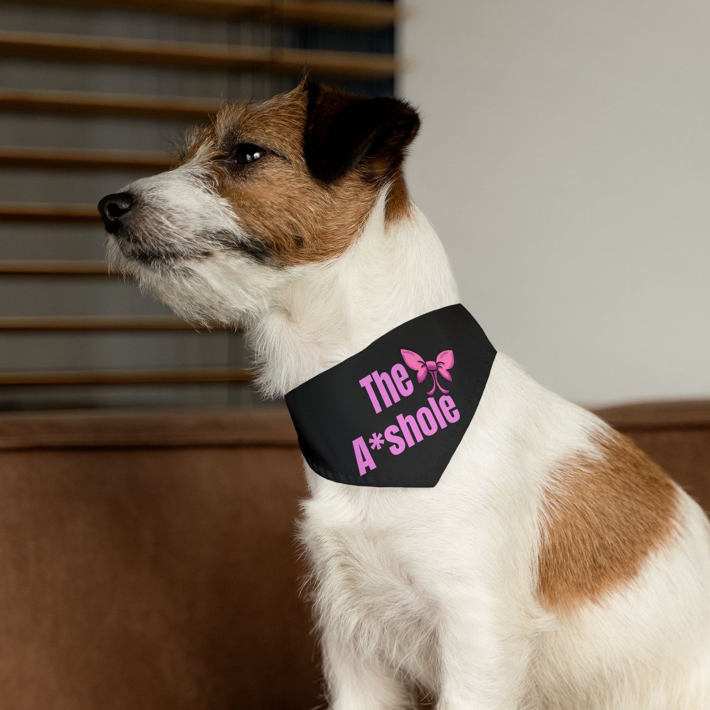 The A*shole Pet Bandana Collar - Funny Dog Bandana - Girl