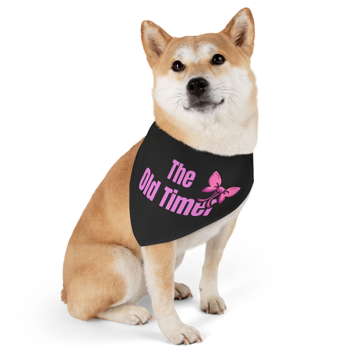 The Old Timer Pet Collar- Funny Dog Bandana - Girl