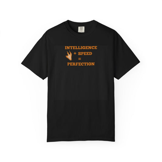 Intelligence + Speed = Perfection Unisex Garment-Dyed T-shirt