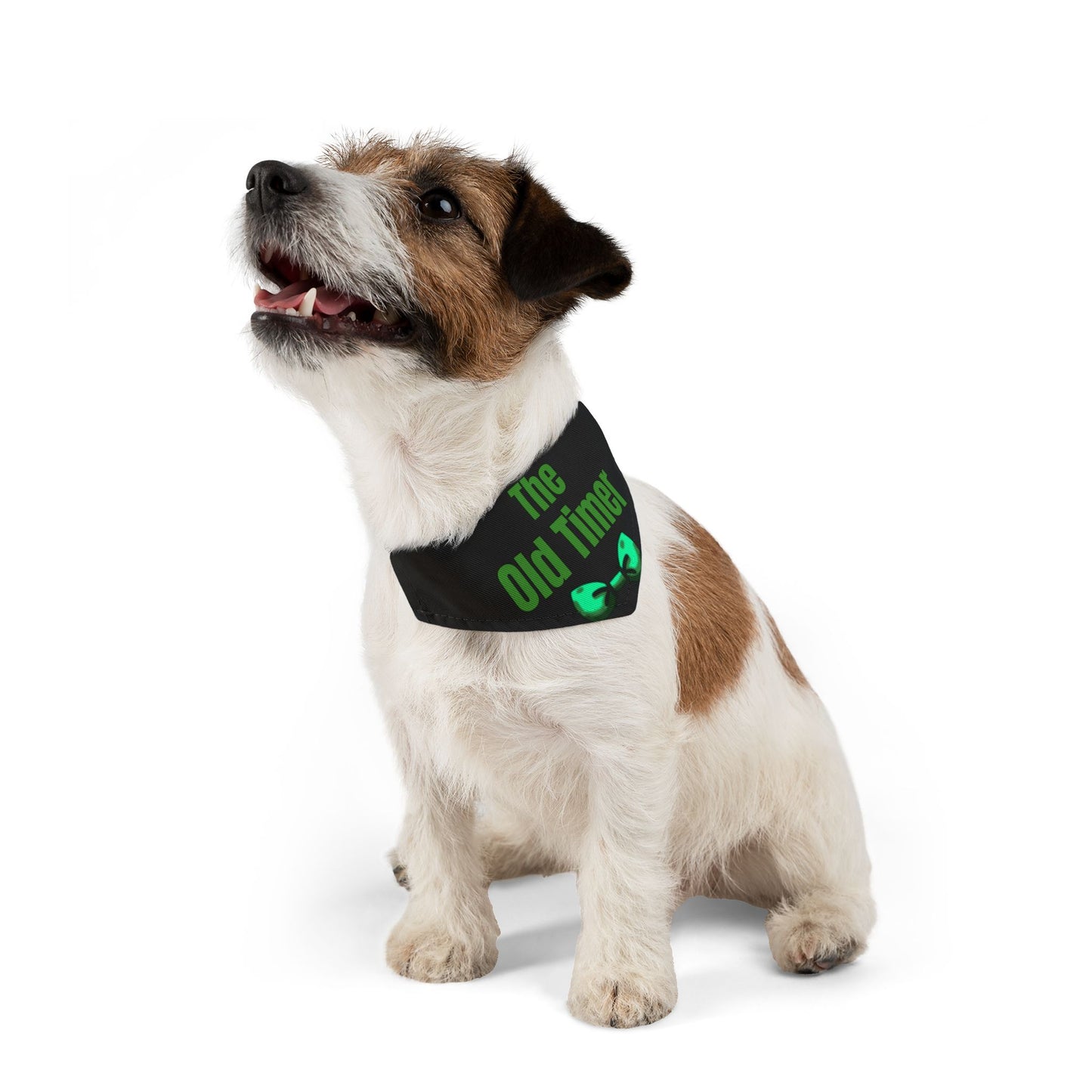 The Old Timer Pet Bandana Collar- Funny Dog Bandana - Boy