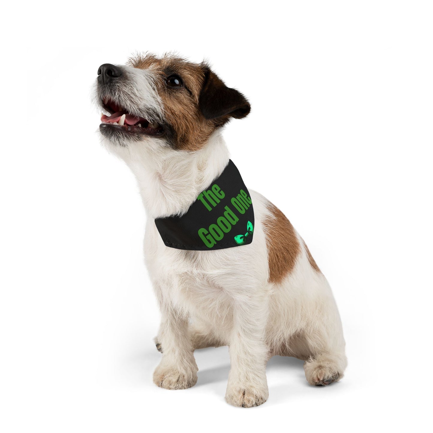 The Good One Pet Bandana Collar - Funny Dog Bandana - Boy