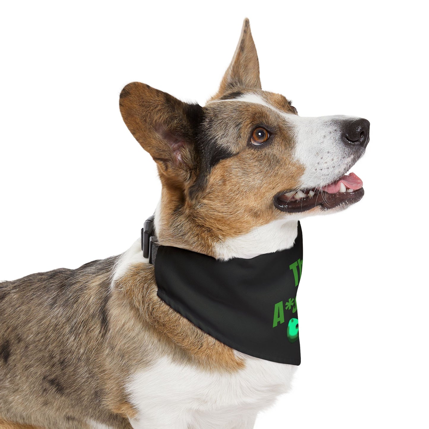 The A*shole Pet Collar - Funny Dog or Cat Bandana - Boy