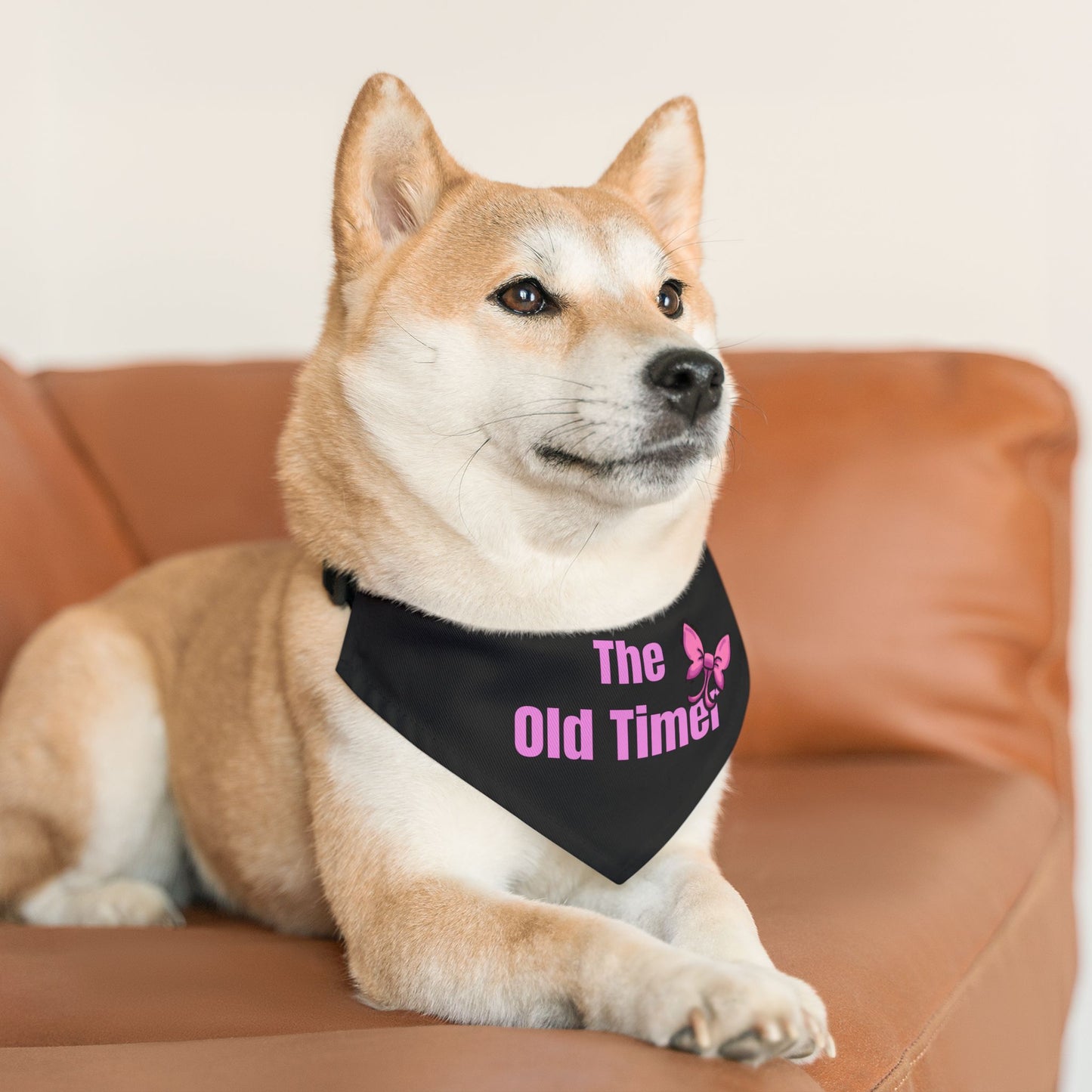 The Old Timer Pet Collar- Funny Dog Bandana - Girl