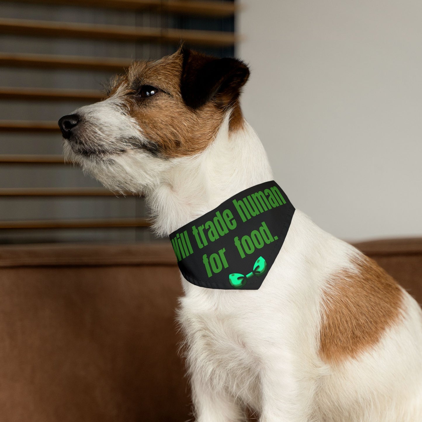Will Trade Human for Food Pet Bandana Collar - Funny Dog Bandana - Boy