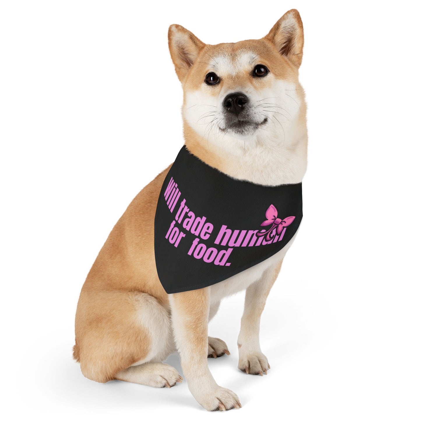 Will Trade Human for Food Pet Bandana Collar - Funny Dog Bandana- Girl