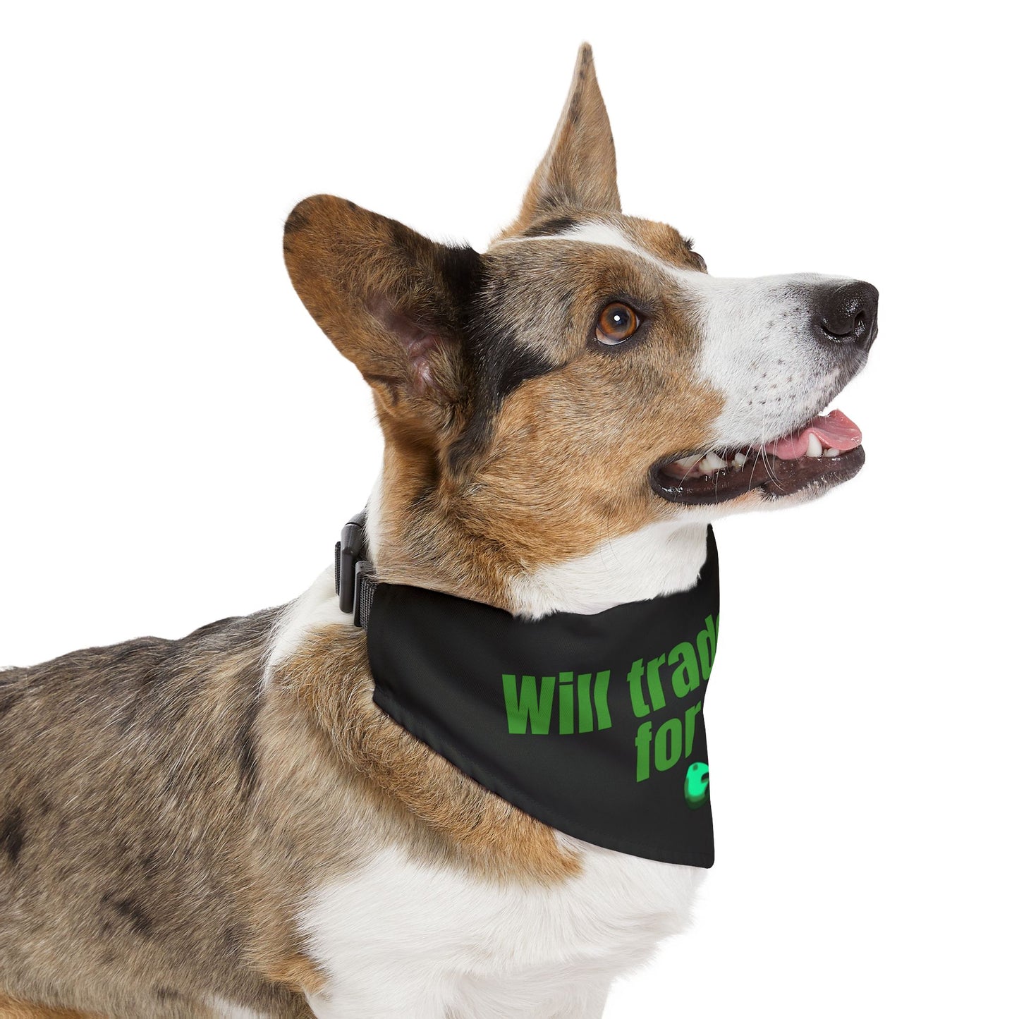Will Trade Human for Food Pet Bandana Collar - Funny Dog Bandana - Boy